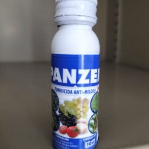 Panzer, 10 c.c.